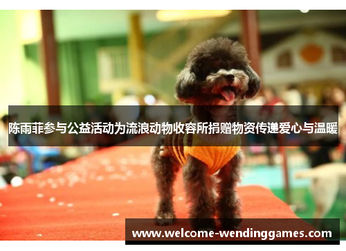 陈雨菲参与公益活动为流浪动物收容所捐赠物资传递爱心与温暖