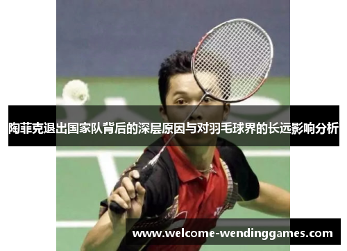 陶菲克退出国家队背后的深层原因与对羽毛球界的长远影响分析